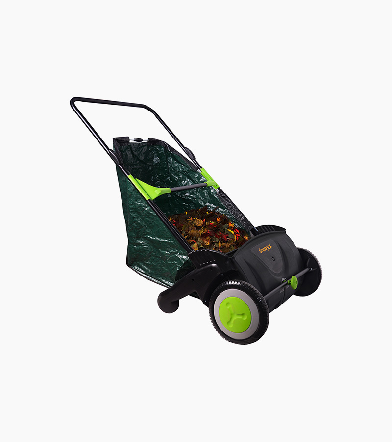 Leaves Collector in Rajasthan