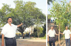 Lawn Cutter in India